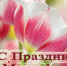 МИЛЫЕ ЖЕНЩИНЫ! ПРИМИТЕ СЕРДЕЧНЫЕ ПОЗДРАВЛЕНИЯ С МЕЖДУНАРОДНЫМ ЖЕНСКИМ ДНЁМ 8 МАРТА! - Валдайский район
